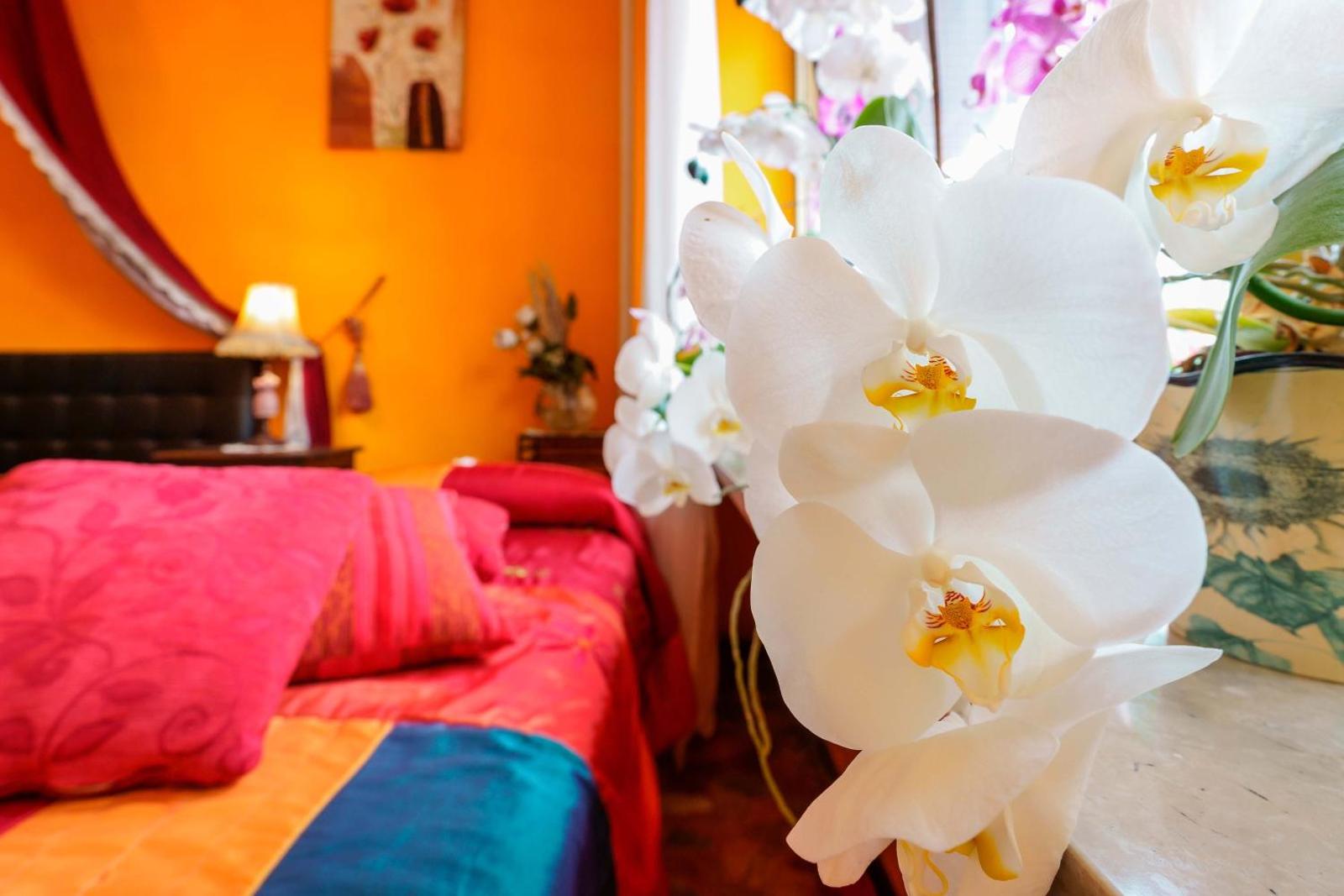 Bed and Breakfast Dolce Vita Bologna